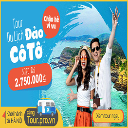 Tour CÔ TÔ Quảng Ninh