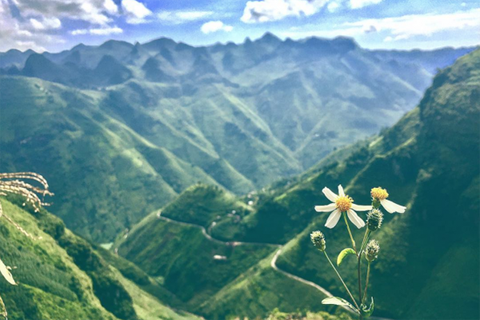 Tour Hà Giang - Ninh Bình - Quảng Ninh Du Lịch Giá Rẻ 2026