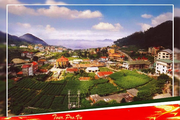 Tour TAM ĐẢO Vĩnh Phúc