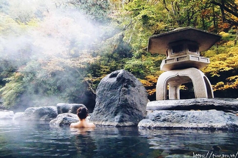 Tour Yoko Onsen Quang Hanh Giá Rẻ Du Lịch Chất Lượng 2026